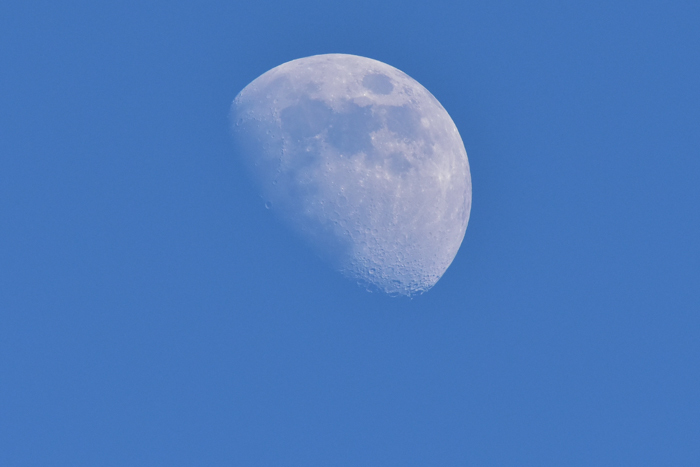 c0049299_22412379.jpg