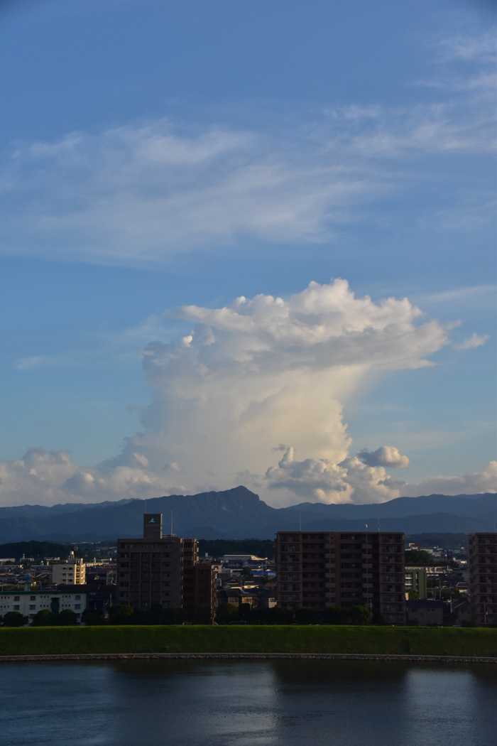 c0049299_22434776.jpg