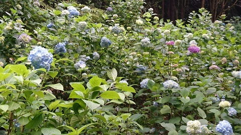 c0152002_08004409.jpg