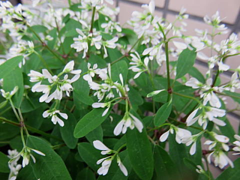 d0046702_05354850.jpg