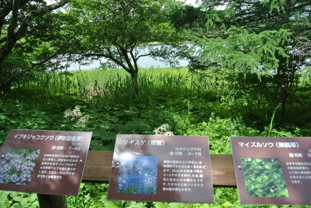 f0179209_11583140.jpg
