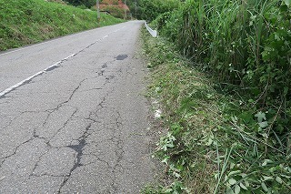 e0081218_05264725.jpg