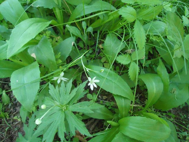 b0248920_05160514.jpg