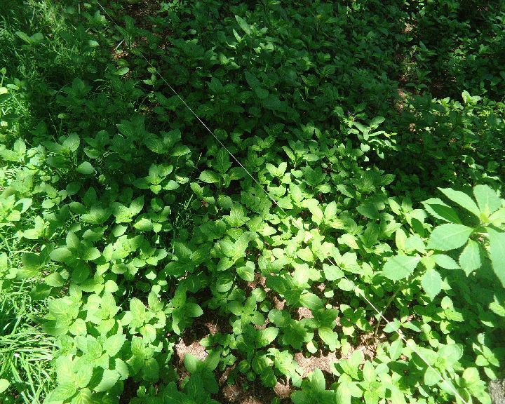 b0248920_05260549.jpg
