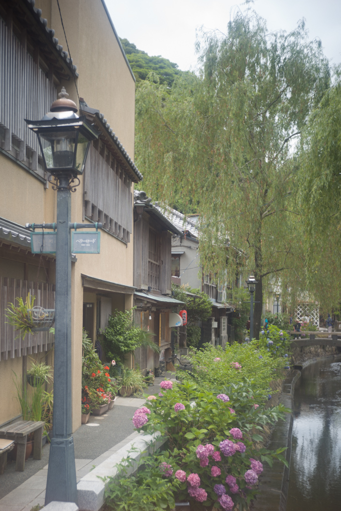 d0161322_07541135.jpg