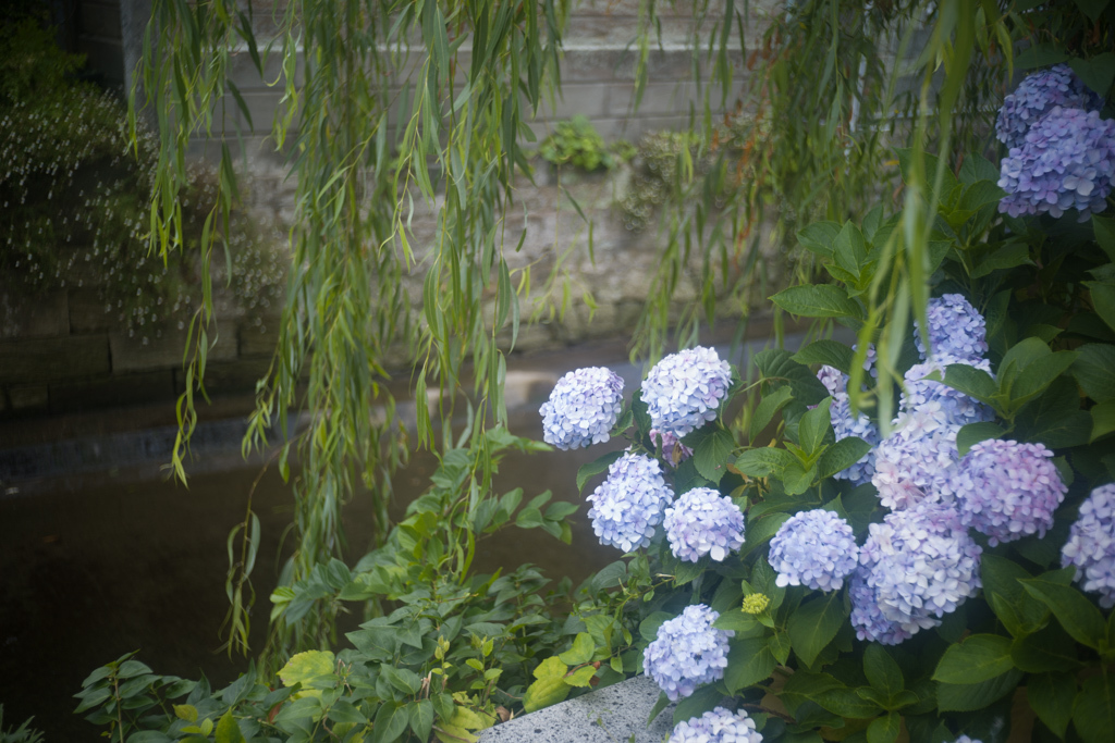 d0161322_07543540.jpg