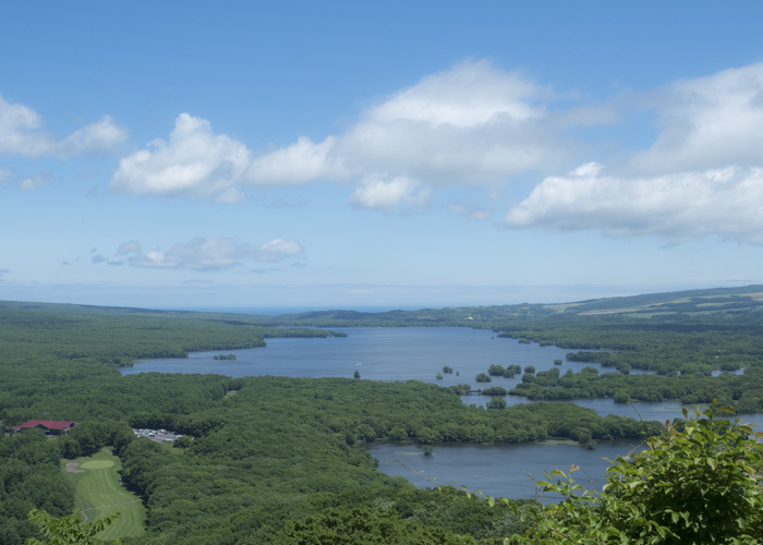 e0238623_23324166.jpg