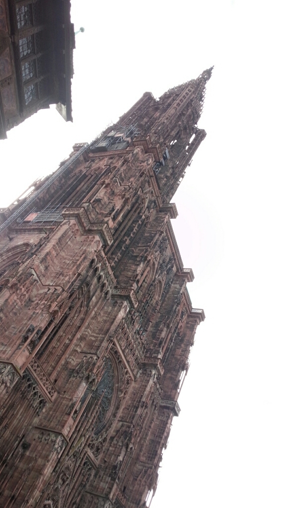 c0173826_13550032.jpg