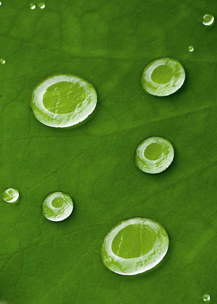 d0147530_10285229.jpg