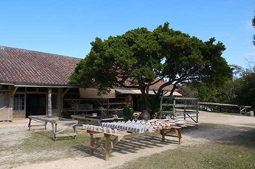 b0035734_16492680.jpg