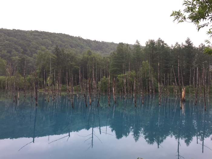 f0221137_18313618.jpg