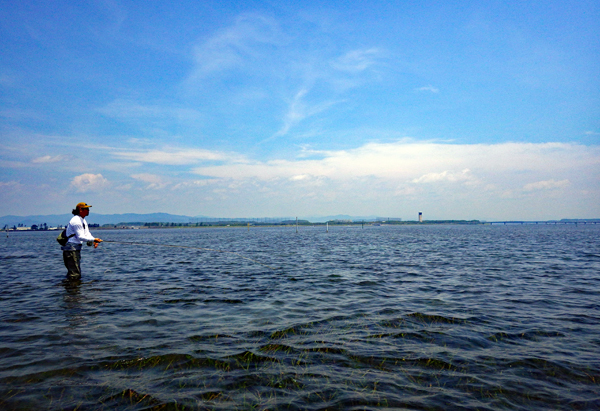 f0055244_1439512.jpg