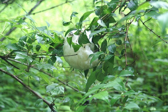 f0114346_06361984.jpg