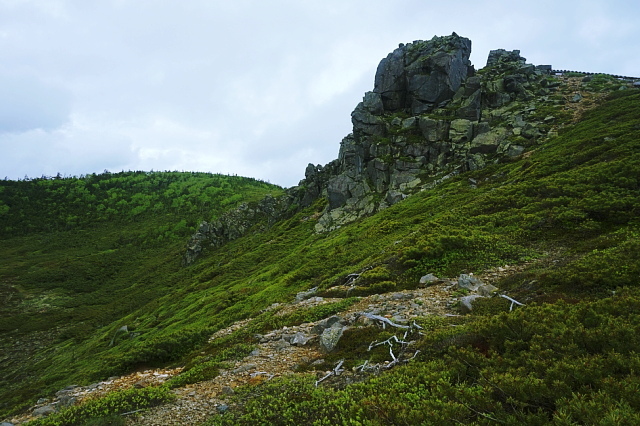 b0122448_12132053.jpg