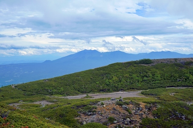 b0122448_12540126.jpg