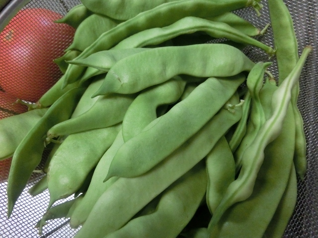 c0328559_20354920.jpg