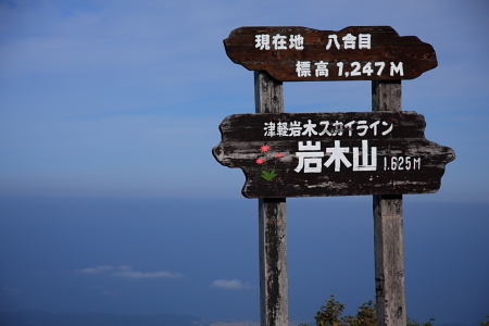 f0173161_09141423.jpg