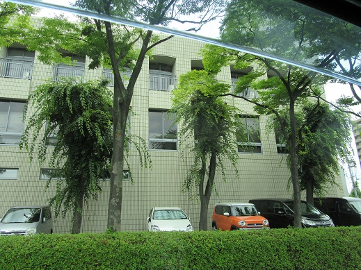 f0113862_11465264.jpg