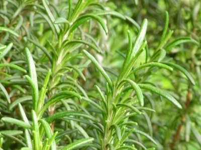 e0175064_21002312.jpg