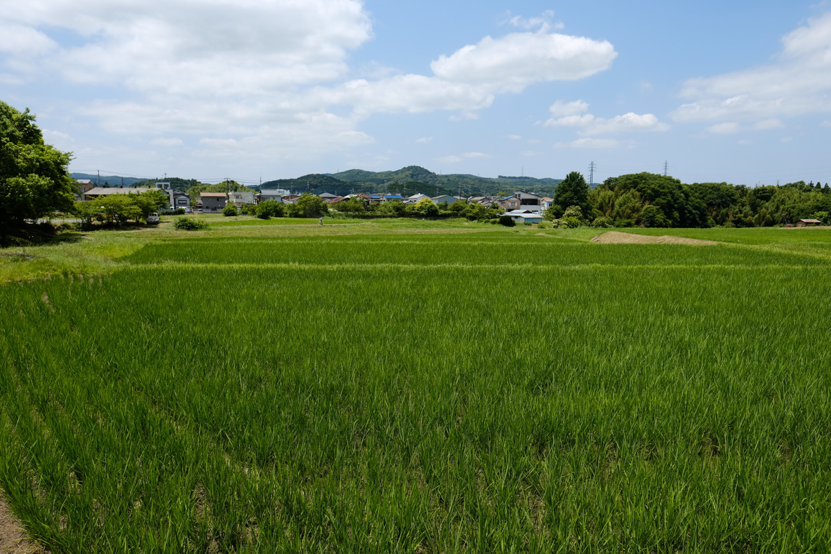 c0084666_19523598.jpg