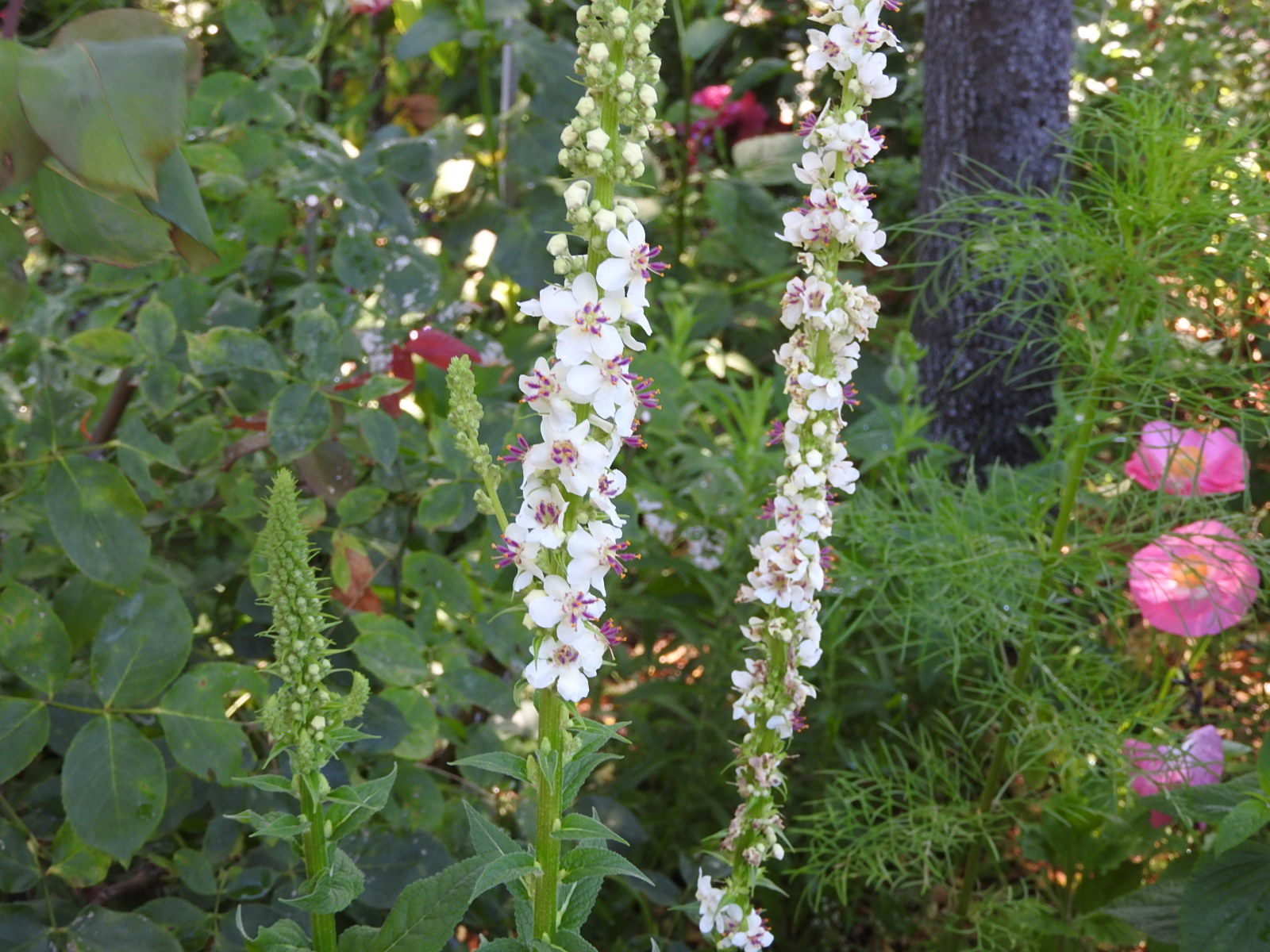 c0115366_15223619.jpg