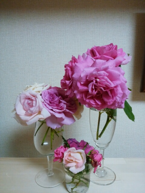 f0200871_0171283.jpg