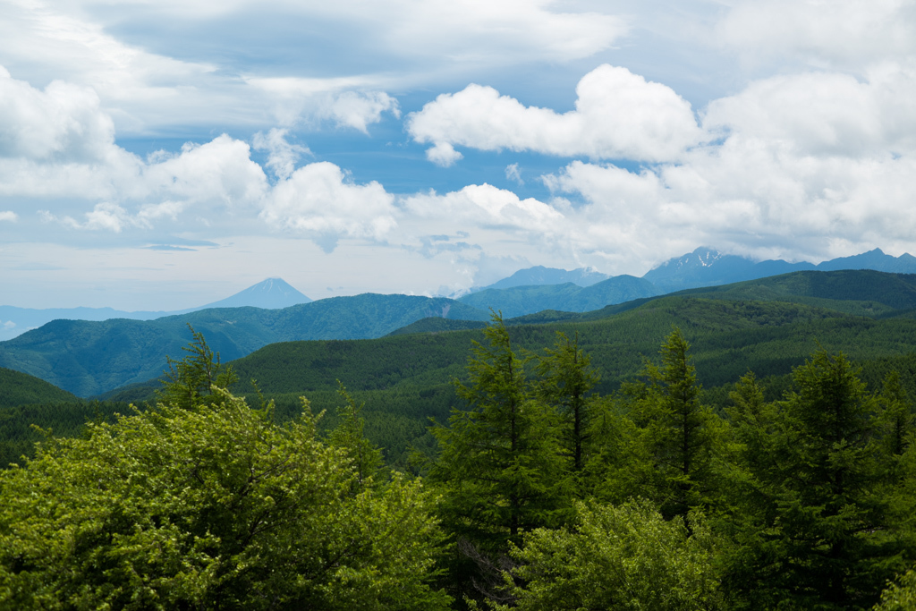 b0247073_23184126.jpg