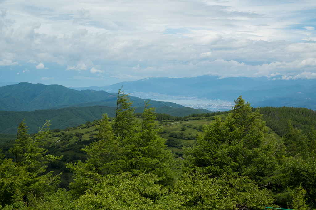 b0247073_23184612.jpg