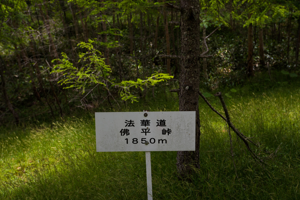 b0247073_23193218.jpg