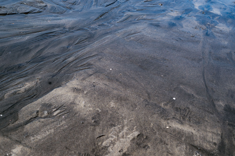 c0108673_21143680.jpg