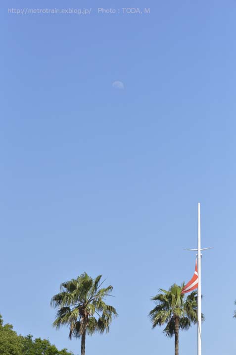 b0102780_641022.jpg