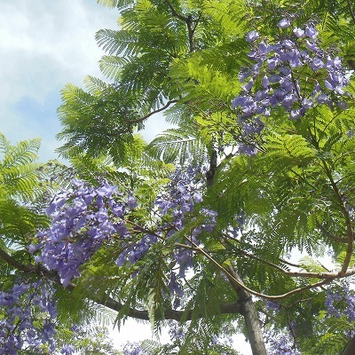 f0215580_11291003.jpg