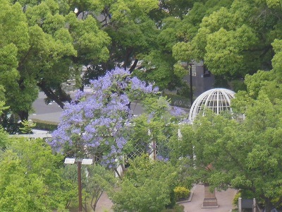 f0215580_11292156.jpg