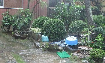 f0003283_17451520.jpg