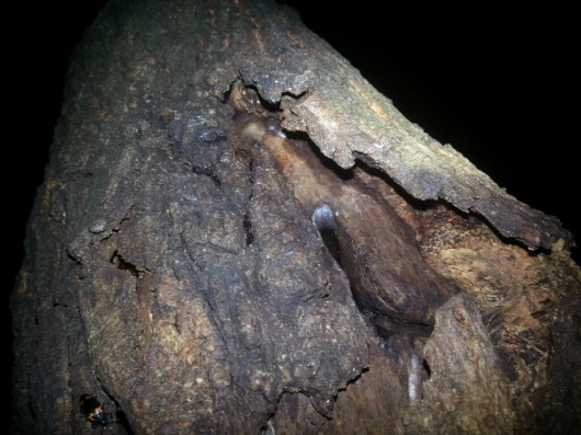 f0183484_16403998.jpg