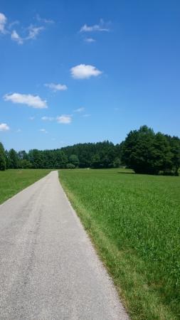 f0169885_20125003.jpg