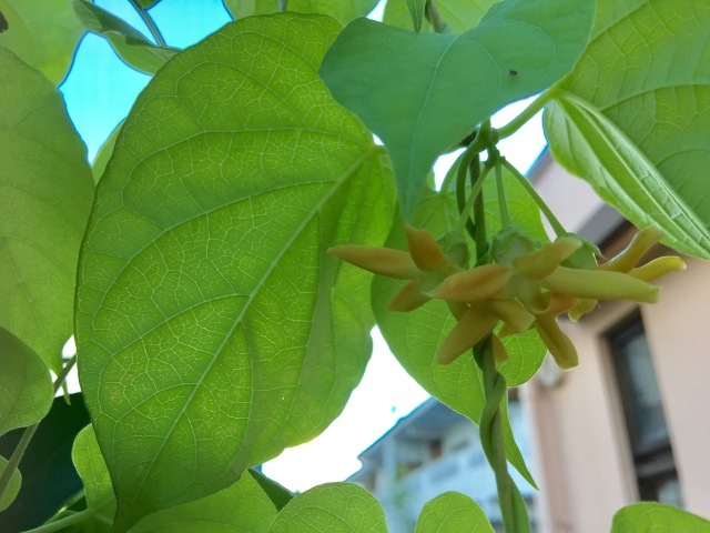 c0064389_08350060.jpg