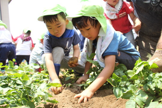 a0115391_10451187.jpg
