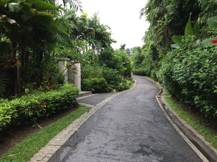 e0362195_07155172.jpg