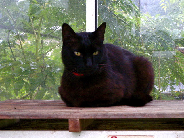 a0199297_15433639.jpg