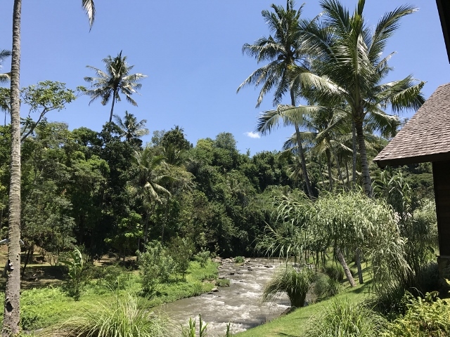 d0337598_13132570.jpg