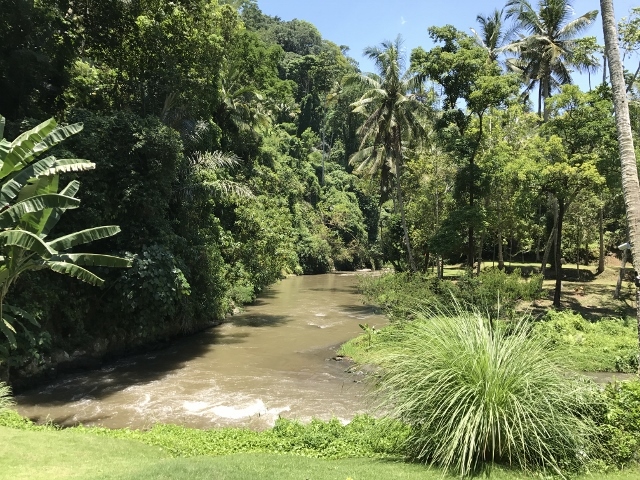 d0337598_13135598.jpg