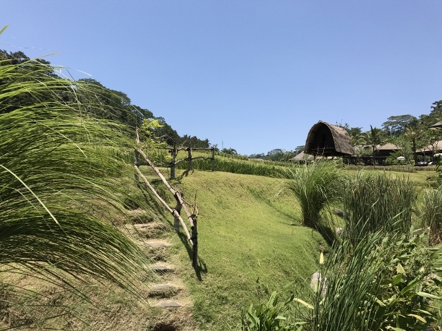 d0337598_14195516.jpg