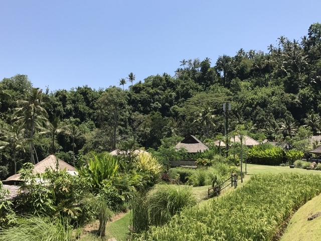 d0337598_14211095.jpg