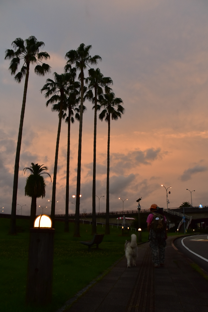 c0049299_22493476.jpg