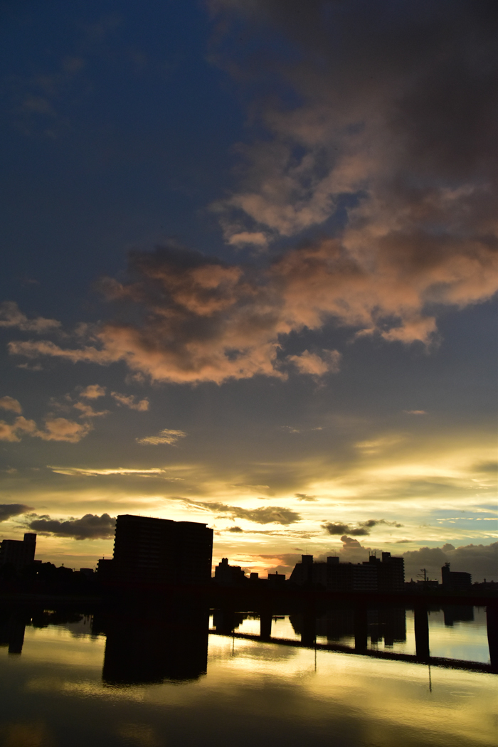 c0049299_22493531.jpg
