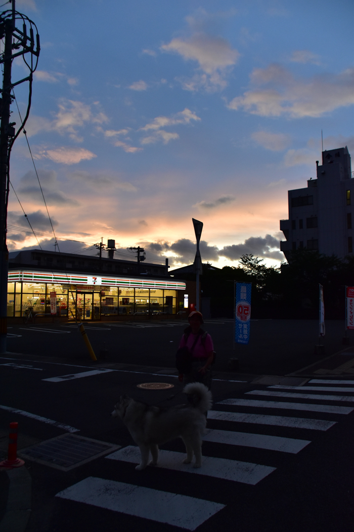 c0049299_22493719.jpg