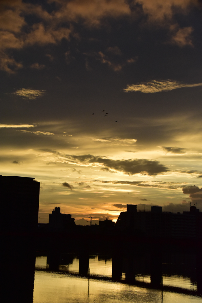 c0049299_22595280.jpg