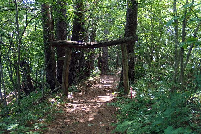 e0137200_2111720.jpg