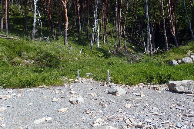 e0137200_2153025.jpg